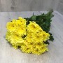 Кустовая хризантема Evro yellow